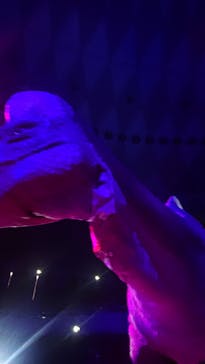 DINO SAFARI GIGANTに投稿された画像（2023/8/27）