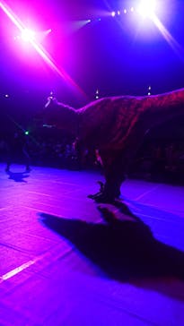 DINO SAFARI GIGANTに投稿された画像（2023/8/27）