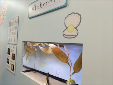 アクアワールド茨城県大洗水族館に投稿された画像（2023/8/27）