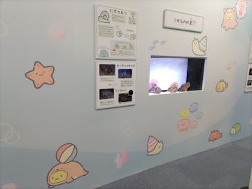 アクアワールド茨城県大洗水族館に投稿された画像（2023/8/27）