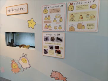 アクアワールド茨城県大洗水族館に投稿された画像（2023/8/27）