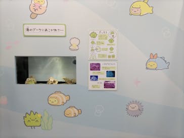 アクアワールド茨城県大洗水族館に投稿された画像（2023/8/27）