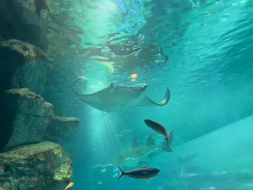 マクセル アクアパーク品川に投稿された画像（2023/8/27）