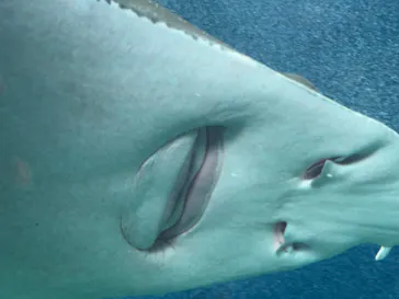 マクセル アクアパーク品川に投稿された画像（2023/8/27）