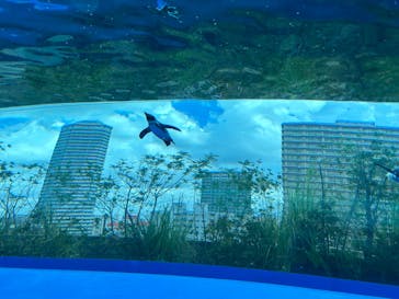 サンシャイン水族館に投稿された画像（2023/8/27）