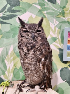 アニタッチアクアシティお台場に投稿された画像（2023/8/27）