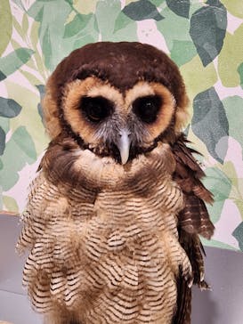 アニタッチアクアシティお台場に投稿された画像（2023/8/27）