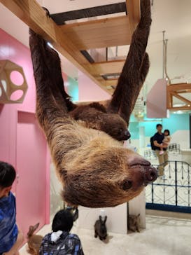 アニタッチアクアシティお台場に投稿された画像（2023/8/27）