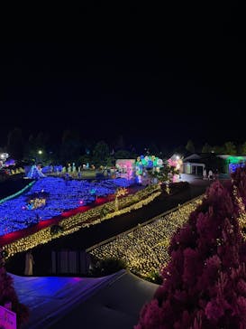 伊豆ぐらんぱる公園に投稿された画像（2023/8/27）