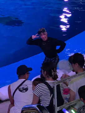 仙台うみの杜水族館に投稿された画像（2023/8/27）