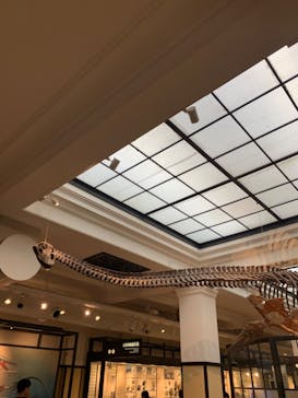 国立科学博物館に投稿された画像（2023/8/27）