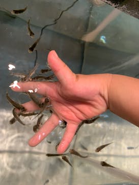 淡路ファームパーク イングランドの丘に投稿された画像（2023/8/27）