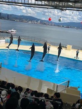 マリンワールド海の中道に投稿された画像（2023/8/27）