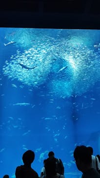 アクアワールド茨城県大洗水族館に投稿された画像（2023/8/27）