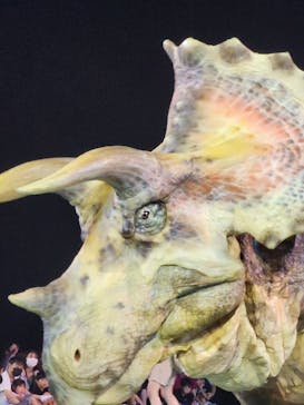 DINO SAFARI GIGANTに投稿された画像（2023/8/27）