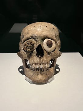 特別展「古代メキシコーマヤ、アステカ、テオティワカン」に投稿された画像（2023/8/27）