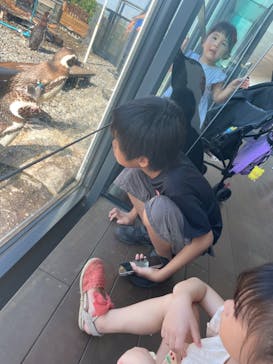 上越市立水族博物館 うみがたりに投稿された画像（2023/8/27）