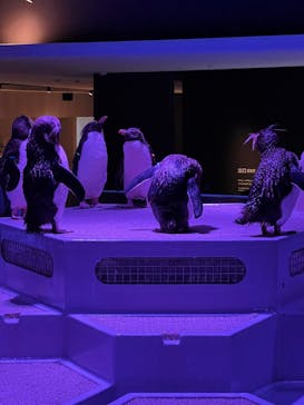 AOAO SAPPOROに投稿された画像（2023/8/27）