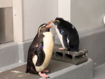 AOAO SAPPOROに投稿された画像（2023/8/27）