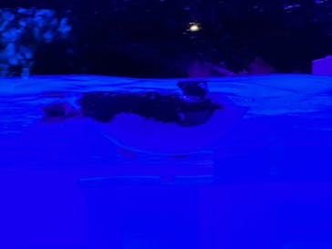 AOAO SAPPOROに投稿された画像（2023/8/27）