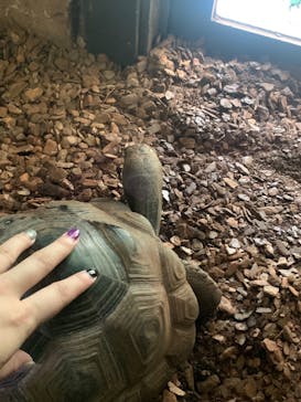 体感型動物園iZooに投稿された画像（2023/8/27）