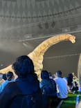 DINO SAFARI GIGANTに投稿された画像（2023/8/27）