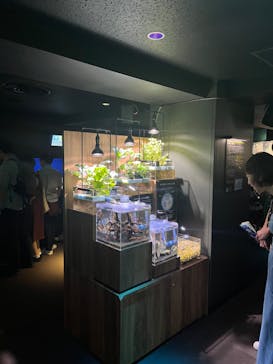 サンシャイン水族館に投稿された画像（2023/8/27）