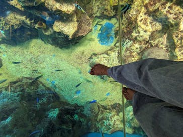 越前松島水族館に投稿された画像（2023/8/27）