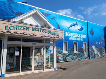 越前松島水族館に投稿された画像（2023/8/27）