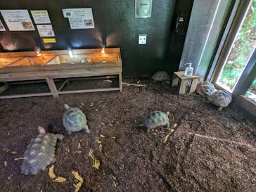 体感型動物園iZooに投稿された画像（2023/8/27）