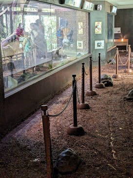 体感型動物園iZooに投稿された画像（2023/8/27）