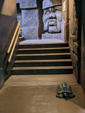 体感型動物園iZooに投稿された画像（2023/8/27）