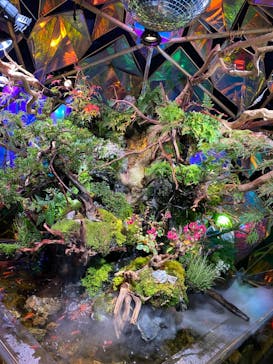 NARA KINGYO MUSEUMに投稿された画像（2023/8/27）