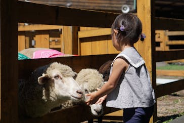 まかいの牧場に投稿された画像（2023/8/27）