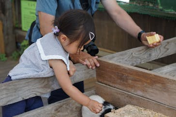 まかいの牧場に投稿された画像（2023/8/27）