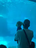 名古屋港水族館に投稿された画像（2023/8/27）