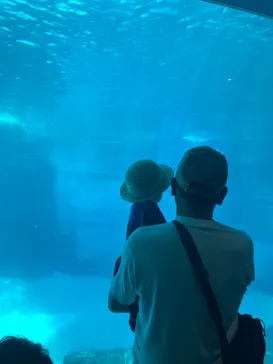 名古屋港水族館に投稿された画像（2023/8/27）