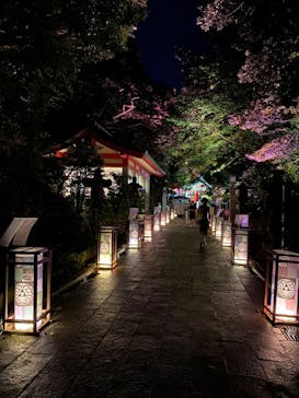 江の島シーキャンドルに投稿された画像（2023/8/27）