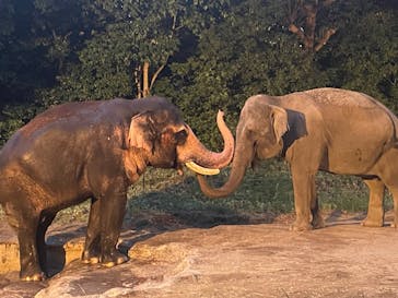 よこはま動物園ズーラシアに投稿された画像（2023/8/27）