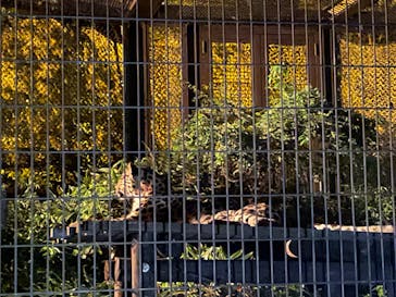 よこはま動物園ズーラシアに投稿された画像（2023/8/27）