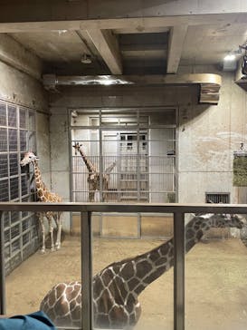 よこはま動物園ズーラシアに投稿された画像（2023/8/27）