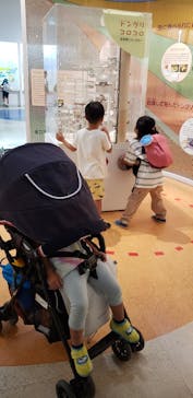 大阪市立自然史博物館に投稿された画像（2023/8/27）