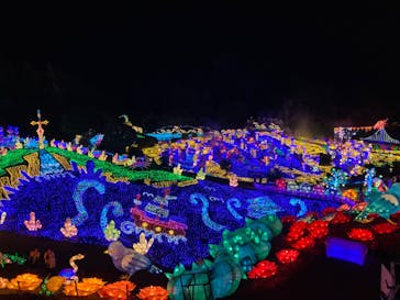 伊豆ぐらんぱる公園に投稿された画像（2023/8/27）