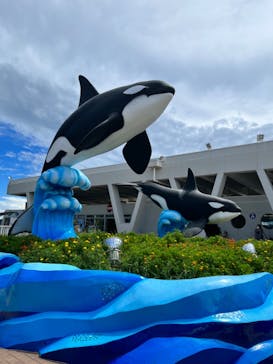 鴨川シーワールドに投稿された画像（2023/8/27）