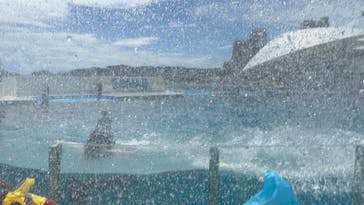 鴨川シーワールドに投稿された画像（2023/8/27）