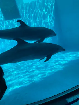 名古屋港水族館に投稿された画像（2023/8/27）