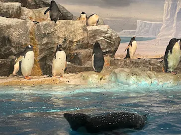 名古屋港水族館に投稿された画像（2023/8/27）