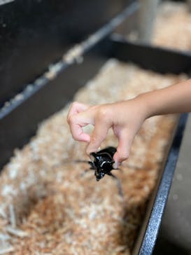 JOYPOLIS 特別イベントスペースに投稿された画像（2023/8/27）