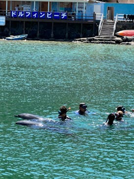 下田海中水族館に投稿された画像（2023/8/27）