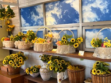 志摩スペイン村パルケエスパーニャに投稿された画像（2023/8/28）